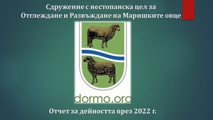 Годишен отчет за дейността на Сдружението на Маришките овце за 2022 г.