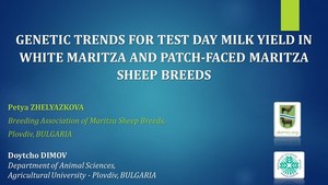 GENETIC TRENDS FOR TEST DAY MILK YIELD IN WHITE MARITZA AND PATCH-FACED MARITZA SHEEP BREEDS