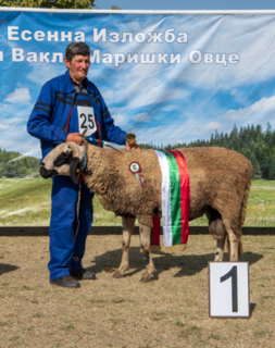 Георги Асенов Пандезов