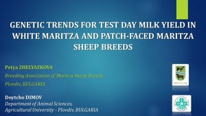   GENETIC TRENDS FOR TEST DAY MILK YIELD IN WHITE MARITZA AND PATCH-FACED MARITZA SHEEP BREEDS