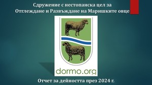 Годишен отчет за дейността на Сдружението на Маришките овце за 2024 г.