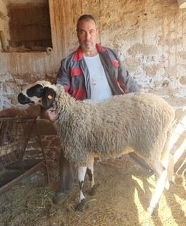 Димитрия Иванова Митева