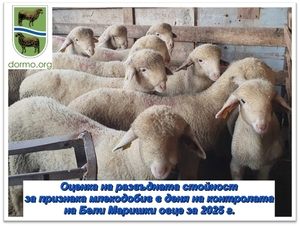 Оценка на развъдната стойност за признака млекодобив в деня на контролата на Бели Маришки овце за 2025 г.