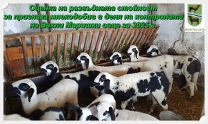 Оценка на развъдната стойност за признака млекодобив в деня на контролата на Вакли Маришки овце за 2025 г.
