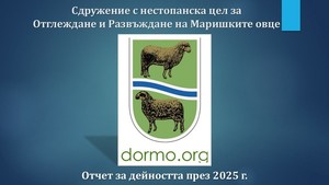 Годишен отчет за дейността на Сдружението на Маришките овце за 2025 г.